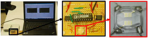 Image of point-of-care device